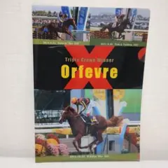競馬　オルフェーヴル 三冠達成クリアファイル