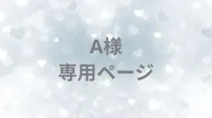 A様 リクエスト 2点 まとめ商品