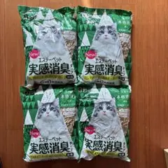 Item thumbnail for item 7a105abe-96c4-4cda-8b20-6467ca400f3e