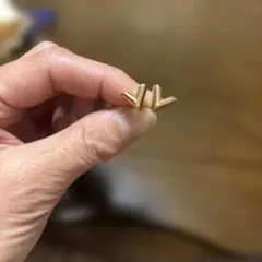 ルイヴィトン ピアス