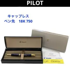 パイロット 株主優待 万年筆 18K 試し書き使用 100周年記念