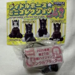 2026年最新】アイドルホースの人気アイテム - メルカリ