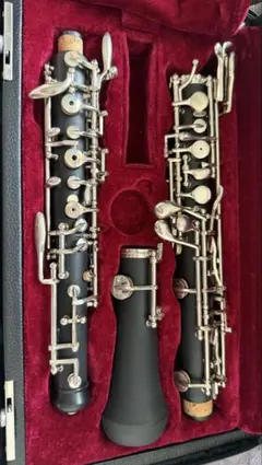 Item thumbnail for item bb17d44a-3d1f-4336-8406-d4b0bda57f7e