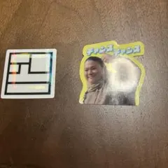 ビバーングミシール2枚