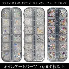 大容量ネイルパーツバラエティーまとめ売り ブリオンVカットスタッズ クリアパーツ