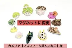ウミウシの置物【ウミウシセット】カメリア【プロフィール読んでね♡】様