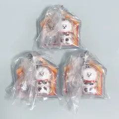 BT21 パッケージチャーム RJ JIN