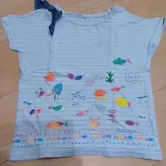 kladskap クレードスコープ 海の生き物柄 Tシャツ 120cmのサムネイル
