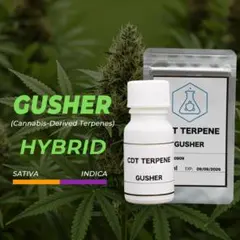 2025年最新】H4CBDの人気アイテム - メルカリ