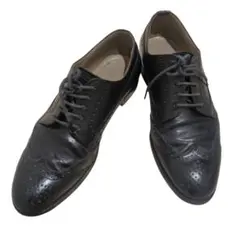 REGAL East Coast Collection ウイングチップ 25