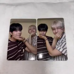 zoonizini タレントカード