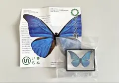 2026年最新】ドイツ箱マグネットコレクションの人気アイテム - メルカリ