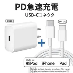 急速充電器 USB-C 20W + USB Type-C ケーブル 2M セット