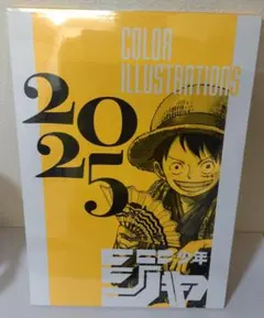 少年ジャンプ 非売品 イラスト集COLORILLUSTRATIONS 2025 - メルカリ