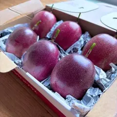 【農薬不使用】奄美大島産 完熟パッションフルーツ 大玉限定(100g以上)のサムネイル
