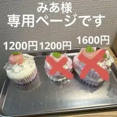 みあ様専用ページです