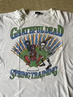 GRATEFUL DEAD T-SHIRT SPRING TOUR 1988のサムネイル