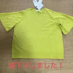 半袖ニット　プルオーバー　レディース