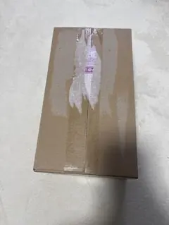 【未開封品 シュリンク付き】スペシャルBOX　ポケモンセンターヒロシマ