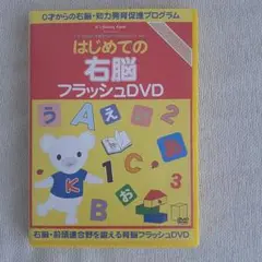 はじめての右脳フラッシュDVD