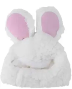 Item thumbnail for item bbe631a0-9d92-4869-88f3-27db5f1cceac