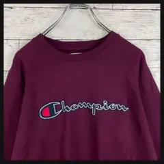 【C-495】ヴィンテージ　スウェット　人気　入手困難　希少　一点物　人気