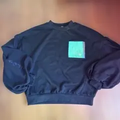 トレーナー 無地