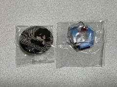 僕のヒーローアカデミア ヒロアカ きらきら缶バッジ 轟焦凍 僕のヒーローアカデミア 大きなキラキラ缶バッジ 轟焦凍｜ホビー