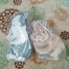 Item thumbnail for item 8280e7cf-3655-430f-8085-9fd1c72eec27