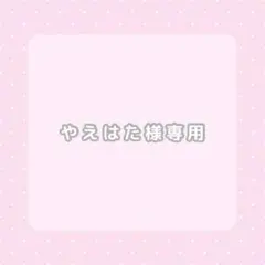 やえはた様 リクエスト 2点 まとめ商品