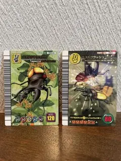 2025年最新】キプルツヤクワガタの人気アイテム - メルカリ