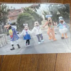 東京ディズニーシー キャラクタークリアファイル