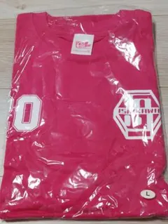 【匿名配送・新品】モーニング娘。コンサート2005春「石川梨華」Tシャツ 美勇伝