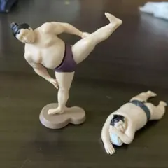 sumou フィギュアセット