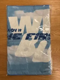 WILDBLUE Sports Towel