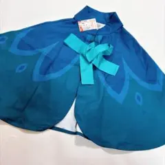 Disney アナと雪の女王 ケープ マント 100cm