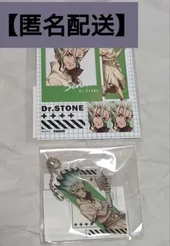 【匿名配送】Dr.STONE　まるくじ　石神千空　ブロマイド　アクキー