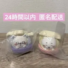 ちいかわ モモンガ きゃらまかろん セット