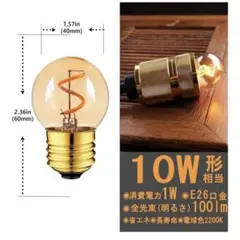 Genixgreen LED電球 10W相当 2個入り