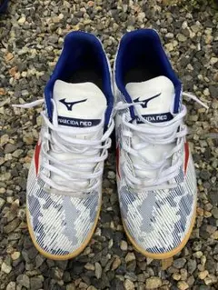 Mizuno MONARCIDA Neo サッカーシューズ 26.0 cm