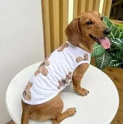 犬服ハンドメイド クマちゃんメッシュ、タンクトップ3号 - メルカリ