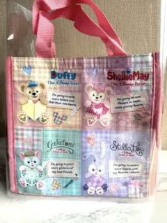 ダッフィー　ダッフィーフレンズ　スーベニアランチケース