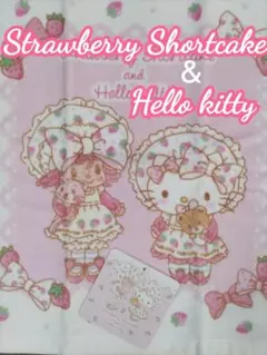 Item thumbnail for item 0d950f20-dd3b-4668-a963-3b7b1fa321a6