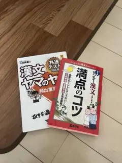 漢文ヤマのヤマ 満点のコツ 2冊セット 参考書 共通テスト センター　美品