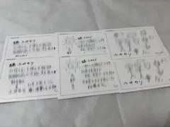 BUDDiiS FUMINORI 端書き ポストカード