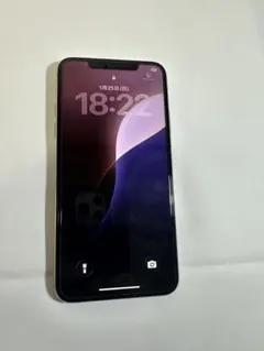 Apple iPhone 11 Promax