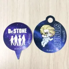 Dr.STONE TeNQ 缶バッジ 宇宙服 ストロータグ セット - メルカリ