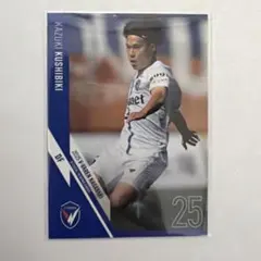 Item thumbnail for item 50504784-2b6e-4edc-a2c6-e5067714824b