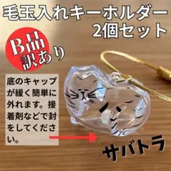 Item thumbnail for item f76e4a91-a3a0-4d31-9b92-49a5115133f7