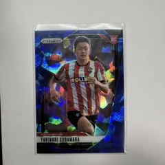Yukinari Sugawara サッカーカード 49/75